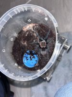 WhatsApp Image 2026-03-25 at 20.38.25.jpeg