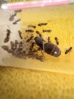 IMG_3839.jpeg IMG_3839.jpeg