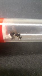 WhatsApp Image 2026-03-29 at 21.04.11.jpeg