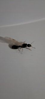 1000007361.jpg 1000007361.jpg