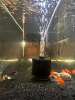 WhatsApp Image 2026-03-30 at 13.15.35.jpeg