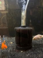 WhatsApp Image 2026-03-30 at 13.18.07.jpeg