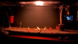 WhatsApp Image 2026-03-31 at 00.03.42.jpeg