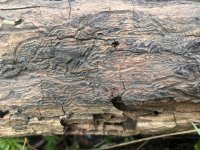 WhatsApp Image 2026-04-01 at 15.42.58.jpeg