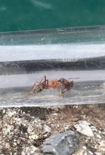 WhatsApp Image 2026-04-01 at 15.42.43 (3).jpeg