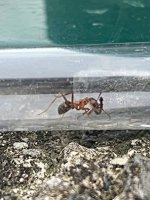 WhatsApp Image 2026-04-01 at 15.42.43 (2).jpeg