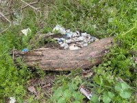 WhatsApp Image 2026-04-01 at 15.42.43 (1).jpeg