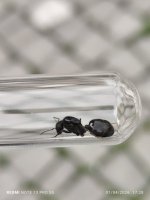 WhatsApp Image 2026-04-01 at 17.45.03.jpeg