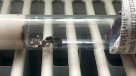 WhatsApp Image 2026-03-31 at 17.42.24-donusturuldugu-kaynak-jpeg.png