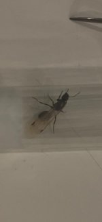 WhatsApp Image 2026-04-02 at 16.09.00 (1).jpeg