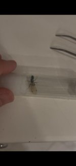 WhatsApp Image 2026-04-02 at 16.09.00 (2).jpeg