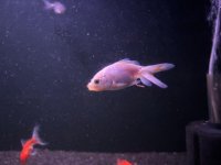 WhatsApp Image 2026-04-02 at 01.48.52.jpeg