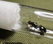 1000032852.jpg 1000032852.jpg