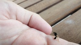 1000032850.jpg 1000032850.jpg