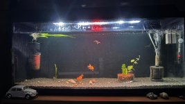 WhatsApp Image 2026-04-04 at 00.02.47.jpeg