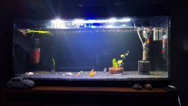 WhatsApp Image 2026-04-04 at 01.50.04__.jpeg