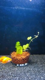 WhatsApp Image 2026-04-04 at 01.52.23__.jpeg