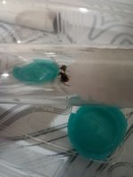 1000007522.jpg 1000007522.jpg