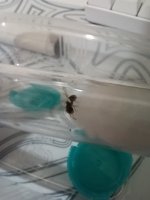 1000007523.jpg 1000007523.jpg