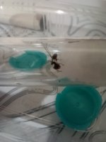 1000007521.jpg 1000007521.jpg