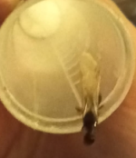 Ekran görüntüsü 2026-04-04 213745.png