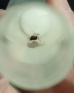 Ekran görüntüsü 2026-04-04 213751.png