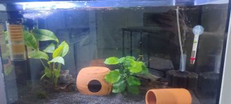 IMG_20260407_230922.jpg IMG_20260407_230922.jpg