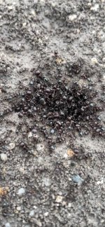 WhatsApp Image 2026-04-08 at 00.24.11.jpeg