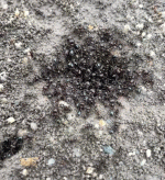 WhatsApp Video 2026-04-08 at 00.23.31.gif