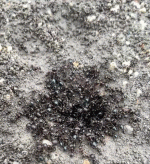 WhatsApp Video 2026-04-08 at 00.23.44.gif