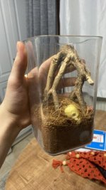 WhatsApp Image 2026-04-07 at 00.19.24.jpeg