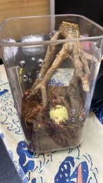 WhatsApp Image 2026-04-07 at 10.47.26.jpeg