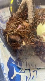 WhatsApp Image 2026-04-07 at 10.47.25.jpeg