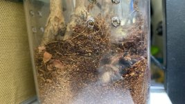 WhatsApp Image 2026-04-07 at 16.55.38.jpeg