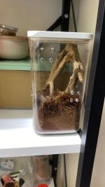 WhatsApp Image 2026-04-07 at 16.55.37.jpeg