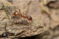 IMG_5485.jpeg IMG_5485.jpeg