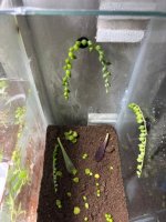 WhatsApp Image 2026-04-12 at 01.47.04 (2).jpeg WhatsApp Image 2026-04-12 at 01.47.04 (2).jpeg