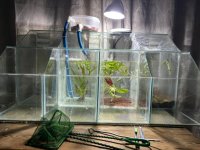 WhatsApp Image 2026-04-12 at 01.47.03 (1).jpeg WhatsApp Image 2026-04-12 at 01.47.03 (1).jpeg