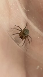 IMG_0982.jpeg