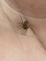 IMG_0977.jpeg