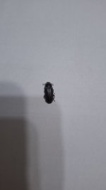 20260411_235123.jpg 20260411_235123.jpg