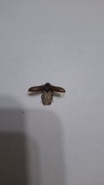 20260411_235357.jpg 20260411_235357.jpg