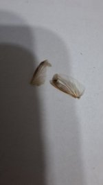 20260412_000007.jpg 20260412_000007.jpg