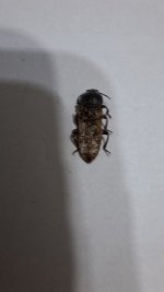 20260412_000009.jpg 20260412_000009.jpg