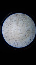 20260412_000618.jpg 20260412_000618.jpg