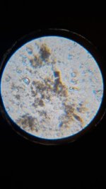 20260412_000715.jpg 20260412_000715.jpg