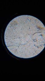 20260412_000810.jpg 20260412_000810.jpg