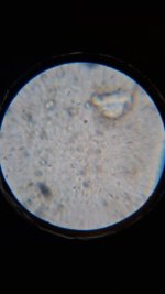 20260412_000750.jpg 20260412_000750.jpg