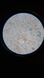 20260412_000847.jpg 20260412_000847.jpg