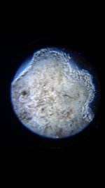 20260412_001439.jpg 20260412_001439.jpg